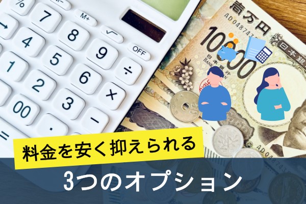 料金を安く抑えられる3つのオプション